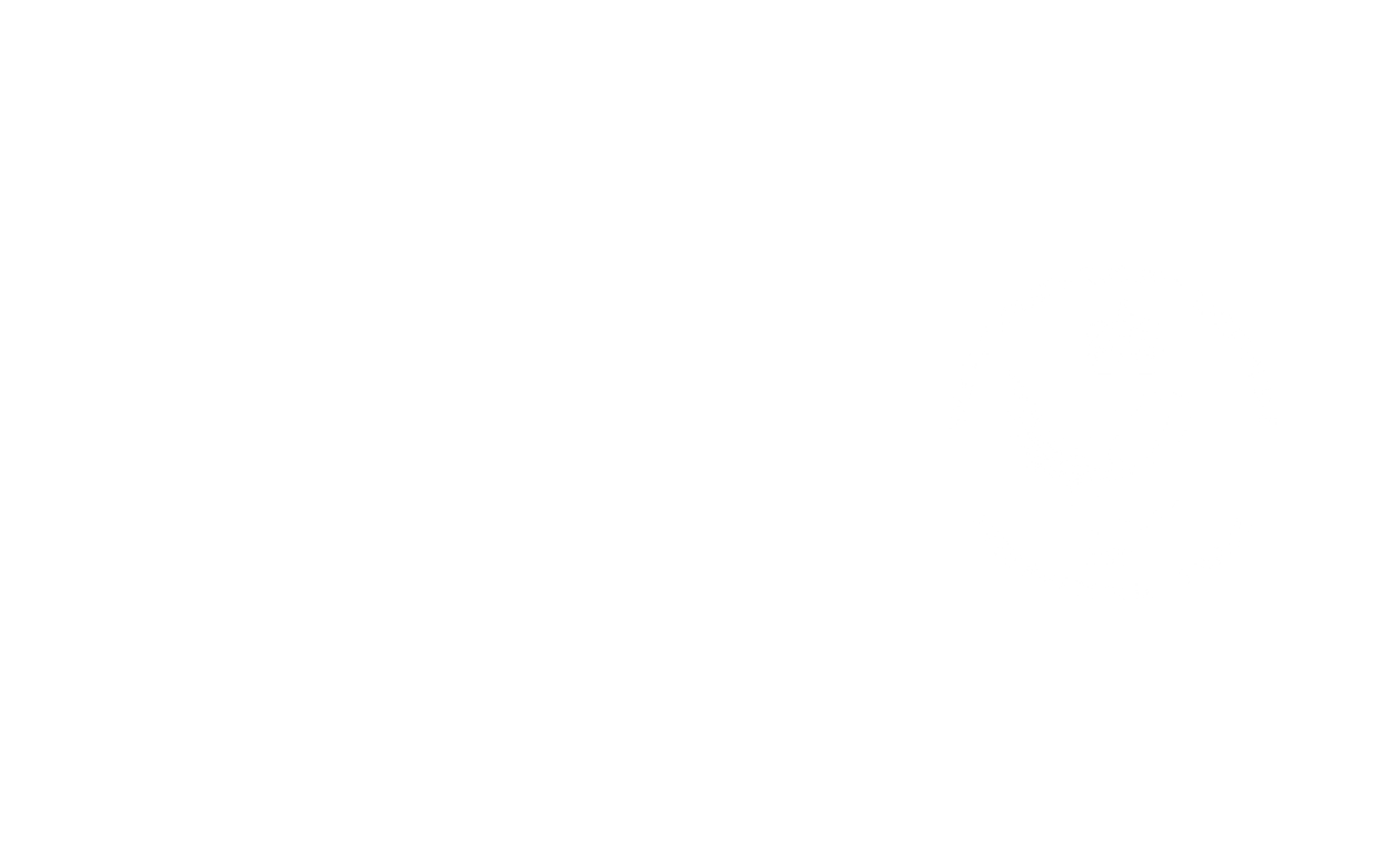VHR White Logo